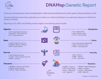 DNA Map - Image 3